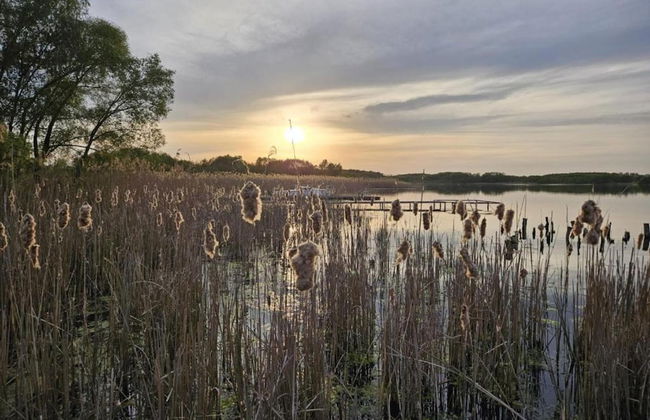 Holiday Home in Gluszyn With Private Pool - Foto 23