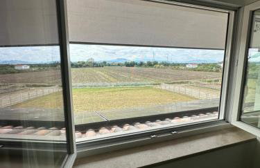 AgriResort Il Casolare Rimini - Foto 53