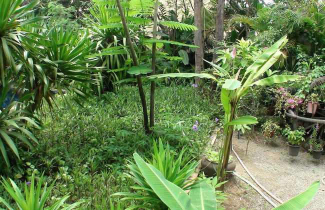 Enkosa Modern Villa - Photo 22