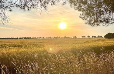 Masseria Casina Montana - Foto 48