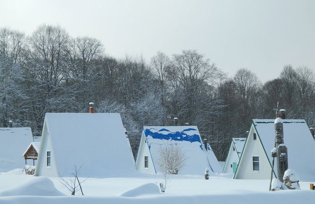 Turbaza Serebryany Klyuch - Photo 27