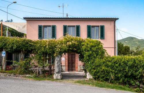 La Balena Rosa - Foto 1