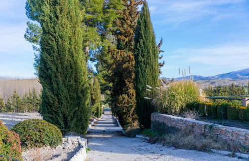 Cortijo Los Nogales - Photo 31