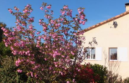 La Cèzenole - Villa climatisée 5 étoiles - Piscine Chauffée - Label Famille - Gorges de la Cèze - Photo 36