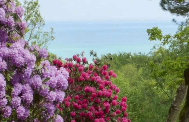 Holiday Home Bois-le-vent - Foto 31