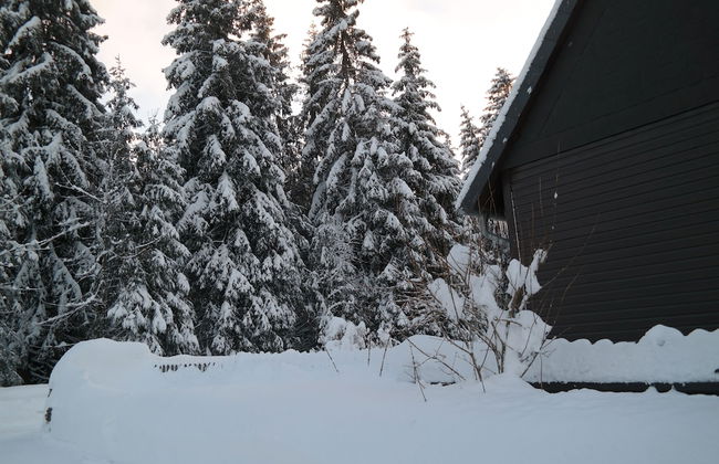 Ferienwohnungen Haus Zeier - Foto 34