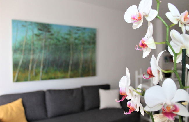 Ronda 4 - Aire del Mar Mediterraneo - Photo 18