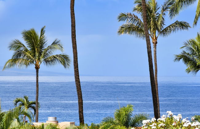 Maui Kaanapali S #a317 Studio Bedroom Condo by RedAwning - Foto 39