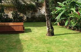 Casa Centro Historico - Photo 18