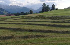 Ferienwohnungen Mooshäusl - Foto 33