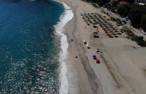 Ammos papanero - Foto 21