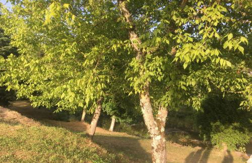 Casa S. Nicolau - Photo 31