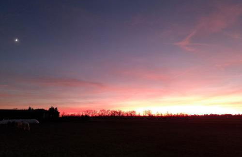 Relax Apartment Seenähe zum Kulkwitzer See - Photo 33