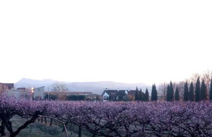 Casa Vacanze Principesca - Foto 40