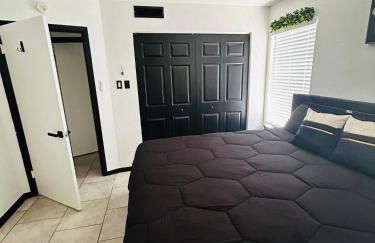 The Greenhouse Effect - Foto 9