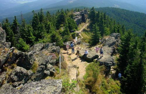 Appartement im Himmelreich - Foto 14