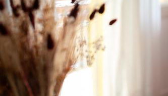 Zen Garden House - Photo 4