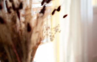 Zen Garden House - Photo 4