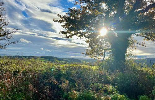 Orient House - Foto 31