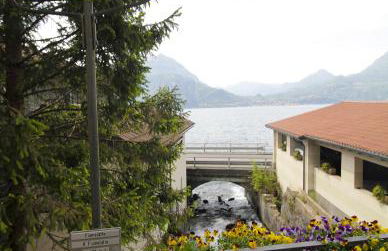 Milk River - Foto 29