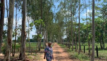 Estancia proximo Rio em Leverger - Foto 5