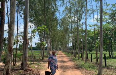 Estancia proximo Rio em Leverger - Foto 5