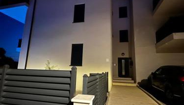 Palm Blues - Photo 3