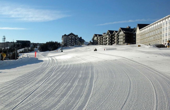 5 Br: Black Bear Crossing #4 - Foto 22