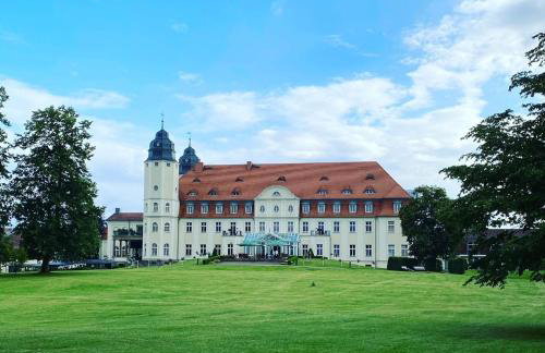 Luxus-Ferienwohnung GREENFEE Fleesensee - Foto 17