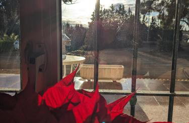 Casa Rural "La villa del pistacho" - Foto 4