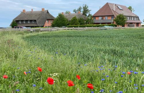 Rügen-Ferienhof - Foto 17