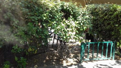 Studio Jardinet - Photo 4