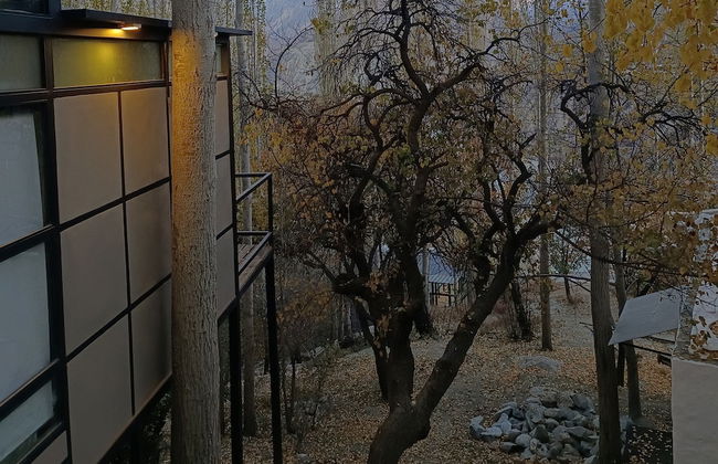 Sevinc With Forest View - Cloud Nine and a Half - Photo 16