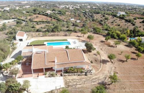 Monte do Pataco - Foto 24