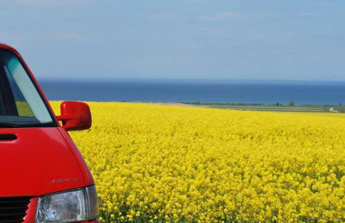 Bungalow in Neubukow mit Terrasse und Garten - Foto 72