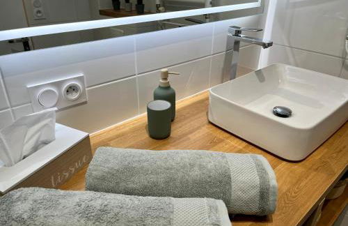 Appartement cosy à Nancy - Parking privé - Foto 13