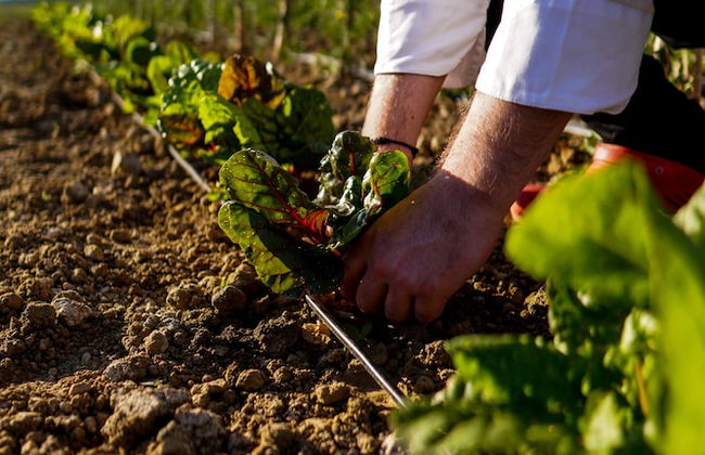 Cortona Resort - Le Terre Dei Cavalieri - Foto 80