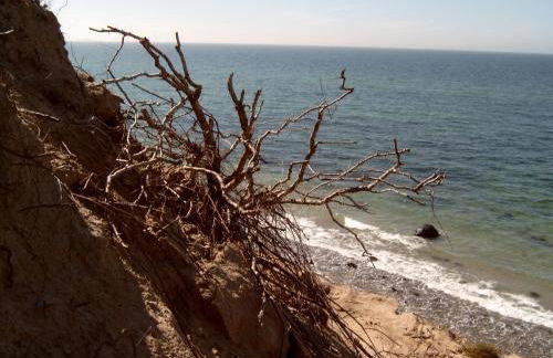 Ferienhäuschen - Foto 6