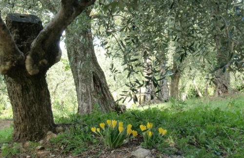 Il Palagetto - Photo 32