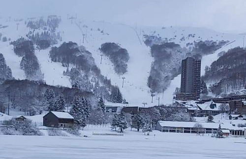 STUDIO DE LA BICHETTE - Photo 27