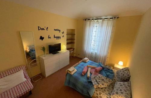 i tulipani - Foto 27