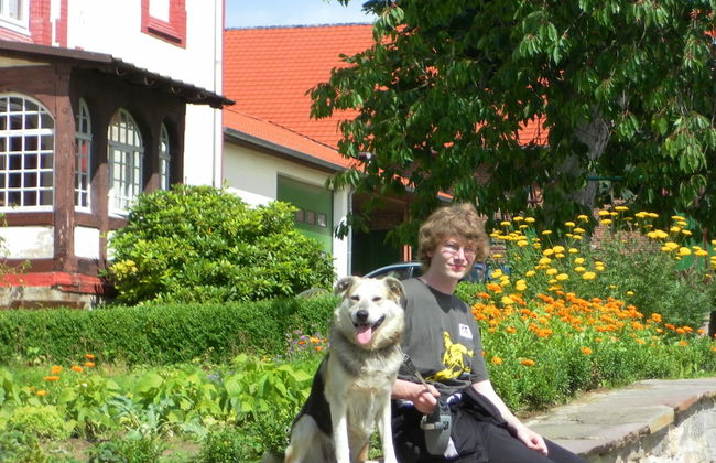 Landhaus Nahe Sababurg Schloss - Foto 14