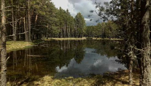 Ático con chimenea en Bronchales - Foto 5