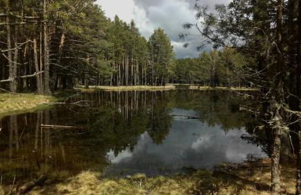 Ático con chimenea en Bronchales - Foto 5