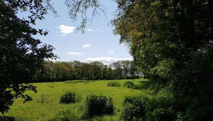 Ferienwohnung "Wallheckenblick Schatteburg", 95159 - Foto 3