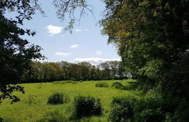 Ferienwohnung "Wallheckenblick Schatteburg", 95159 - Foto 3