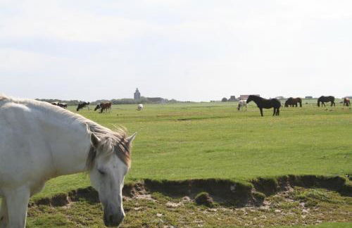 Aparthotel Am Meer - Foto 34