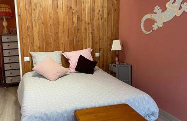 Appartement rénové à Lapte avec terrasse 40 m² - Foto 5