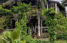 Mare Maravella Costa Brava Nature - Foto 22