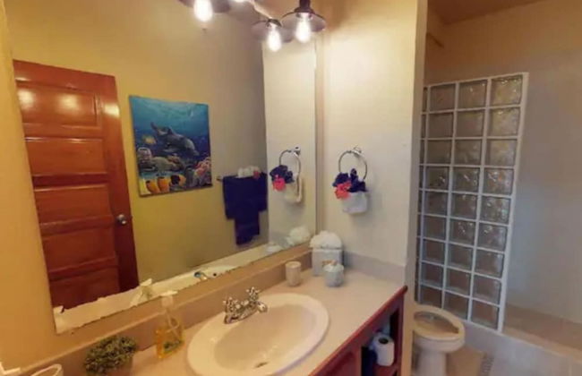 Summer house in Belize - Foto 14